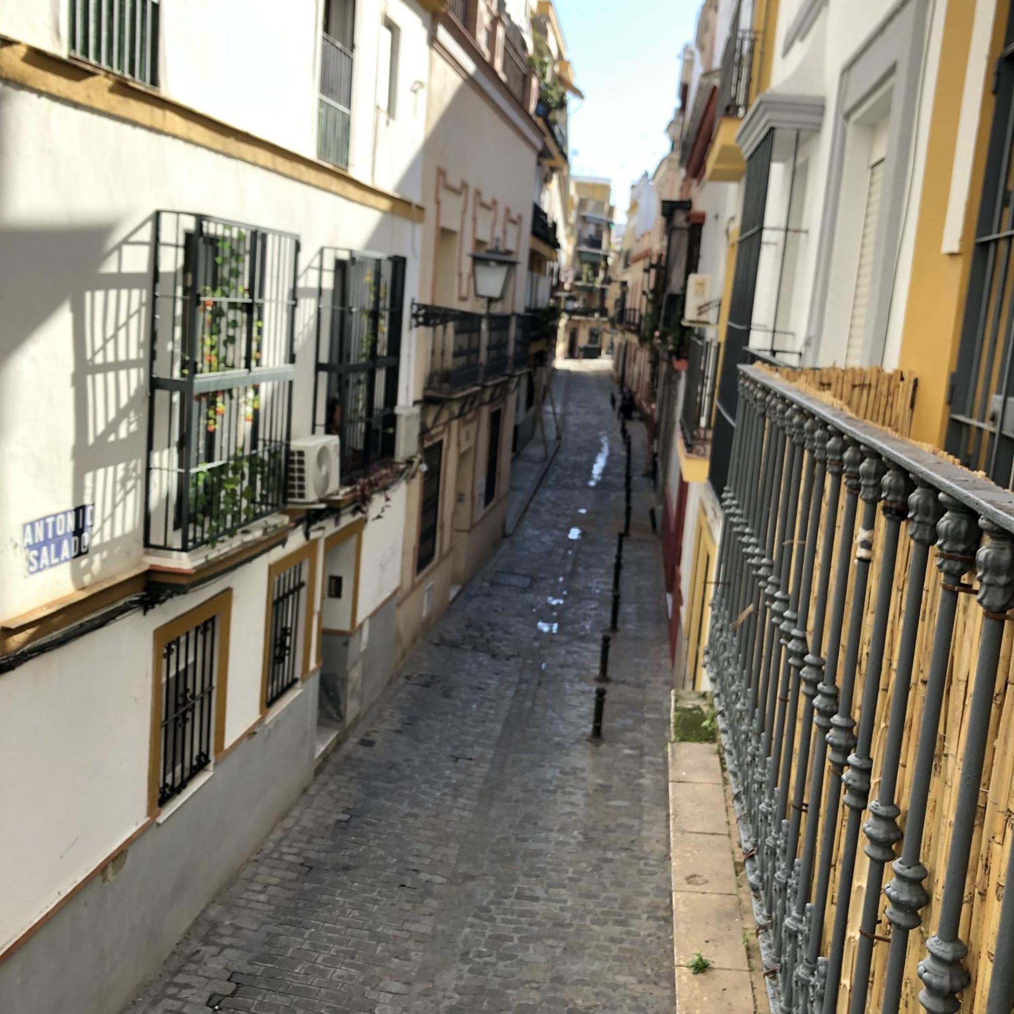 Apartamentos Alfaqueque B セビリア エクステリア 写真